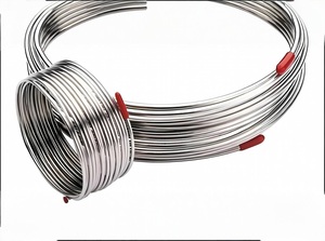 คุณรู้มากแค่ไหนเกี่ยวกับข้อได้เปรียบที่เป็นเอกลักษณ์ของแฮสเทลลอย C22คอยส์? - Product Image 6