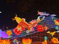 2025 lanterne en soie de festival en plein air pour le nouvel an chinois animal koi poisson lanternes chinoises décoratives
