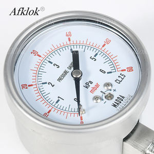 0 ~ 60mbar de aço inoxidável selo óleo manômetro instalação Radial Dial 60MM 100MM 150MM - Product Image 2