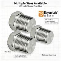 Raccord de valve forgé poli à filetage mâle hexagonal, bouchon de tuyau en acier inoxydable 304/316L, capuchon d'extrémité de tuyau à tête hexagonale résistant aux produits chimiques et à l'huile