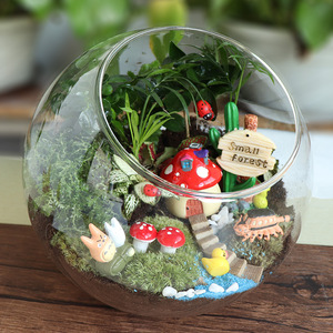 Home Decor Accessories BPA Free Handmade <strong>Clear</strong> Transparent Hydroponic Ball Shaped High Borosilicate Glass Round <strong>Vases</strong> for Flower - Product Image 3