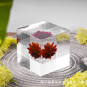 Adornos de Piñas de Pino Acrílicas, Decoración de Mesa de Cristal Transparente Rectangular, Diseño Moderno, Regalo Personal - Product Image 2