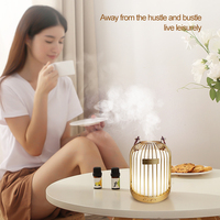 Kegao Portable 200ml Fer Aromathérapie Diffuseur Ménage Rechargeable Ultrasons Huile Essentielle Aroma Diffuseur