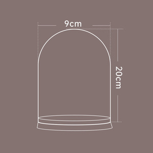 Fleur préservée liège couvercle en verre Transparent saint valentin cadeau décoration dôme avec base en bois doux - Product Image 6