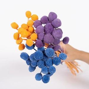 Arrangement de fleurs conservées Craspedia <span class=keywords><strong>rose</strong></span> bon marché et de haute qualité Fleurs décoratives pour la décoration de mariage à la maison - Product Image 6