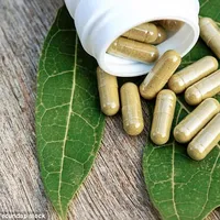 Capsules molles de thé vert de marque privée Max dosage en vrac pour les adultes pas pour les femmes enceintes