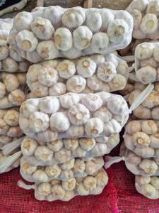 2025 nuovo raccolto aglio fresco dal produttore normale bianco Alho Ajo fornitura diretta all'ingrosso - Product Image 3