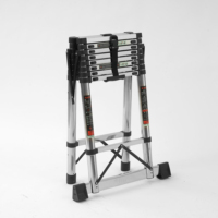 Fabricant d'échelles pliantes télescopiques en acier inoxydable, design en forme de A, logo personnalisé, service OEM pour les acheteurs mondiaux