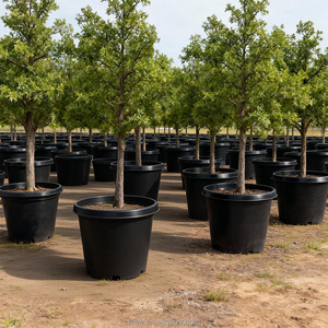 Pots de pépinière bas et peu profonds de 15 gallons, durables, <span class=keywords><strong>en</strong></span> PP moulé par injection, écologiques, avec trou de drainage, pour grands arbustes et arbres à feuilles persistantes - Product Image 1