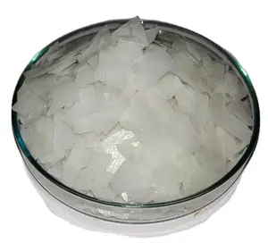 インドのプレミアムグレード塩化マグネシウム