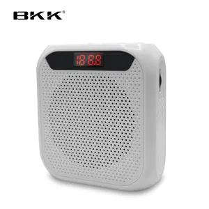 BKK Top selling New multifunctional Wireless Microphone music player Mini Portable Voice Amplifier