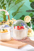 Kokosnoot Verpakking Transparante Blister Doos Voor Cake Dessert Bakken Fruit Verpakking Jelly Cup
