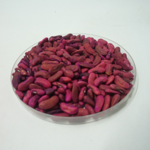 โบตานี ซานติกา: ผู้จัดจำหน่ายเมล็ดพันธุ์ถั่วยาวพันธุ์ผลผลิตสูง ทนทานต่อไวรัส - Product Image 1