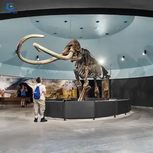 DS-RT06 실물 크기 맘모스 복제 지공 공룡 복제 공룡 해골 쇼 맘모스 해골