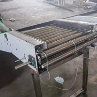Volautomatische Voedsel Apple Grade Was-En Sorteermachine En Sorteermachine Avocado Reiniging