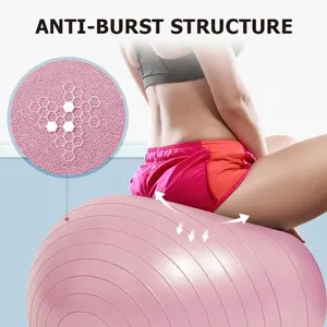 Professional Workout Guide Quick Pump Included 65cm PVC Yoga Ball