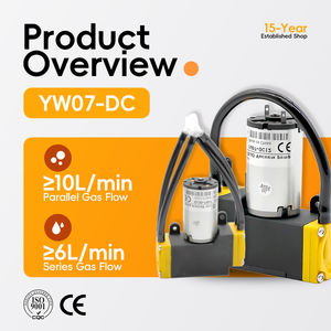 Pompa a Diaframma <span class=keywords><strong>Mini</strong></span> Micro a Bassa Pressione DC YW07 per Rilevamento Gas e Monitoraggio Ambientale OEM - Product Image 2