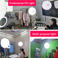 BAFANG 150W haute luminosité lumière de Studio professionnel 97 + CRI lumière vidéo lumière continue pour l'enregistrement vidéo en Studio