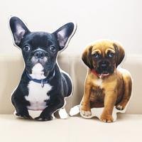 Oreiller personnalisé double face pour animaux de compagnie, coussin en forme 3D, à faire soi-même
