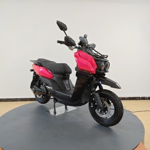 Motocicleta Eléctrica de Alto Rendimiento Equipada con un Motor de 1500W y una Batería de Plomo-Ácido que Ofrece un Gran Alcance - Product Image 1