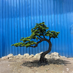 Per paesaggio commerciale e decorazioni natalizie | Personalizzato 2-6M pino artificiale Bonsai albero | Ritardante di fiamma e per Hotel/centro commerciale/giardino - Product Image 1