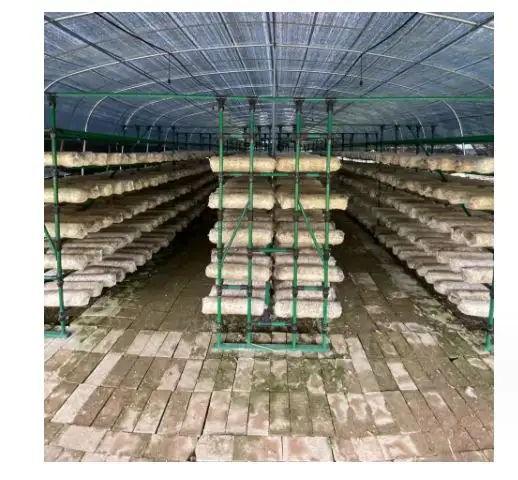 キノコ栽培農業棚ラックシステム製品設備