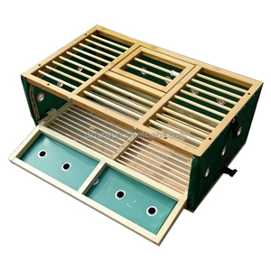 TUOYUN meilleure vente fermes d'élevage course cage en bois de <span class=keywords><strong>pigeon</strong></span> - Product Image 1