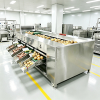 YOUBAN Automatische Fruitgewichtsorteermachine Appel Avocado Tomaat Gewichtsselectiemachine voor Fruitverwerkingslijn