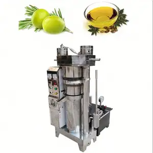 China factory price 50-120kg/h hydraulic sesame oil extraction machine olive oil press machine