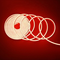 12V 5M Blanc Rouge Vert Glace Bleu IP68 2835 LED Neon Strip LED Rope Lighting
