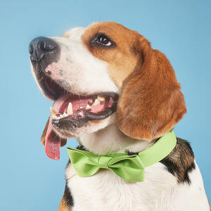 Tanpopo chien cravate chat collier en vrac vacances smoking Costume mariage Costume collier pour animal de compagnie chiot photographie Festival fête cadeau - Product Image 1