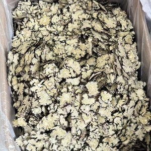 Extracto de Ligusticum chuanxiong |   Vasodilatador Natural y Soporte para la Salud Circulatoria para Suplementos Dietéticos, Fórmula para la Salud del Corazón - Product Image 3