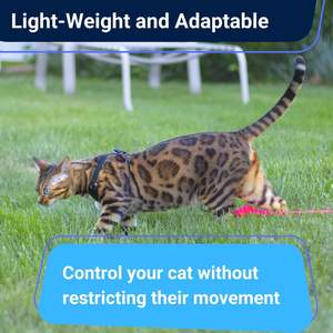 Satu Set tali dan kekang anjing anti pelarian ramah lingkungan dari nilon Solid dan Harness anjing kecil untuk berjalan - Product Image 4