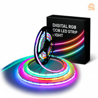 Bande LED RGB 12V 24V étanche IP68, 120 LED/m, flexible, vente en gros OEM pour éclairage extérieur CE RoHS SASO