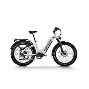 Himiway D5 Premium Tout-Terrain, Moteur Arrière 55Ah 350W, Autonomie 60km, Capteur de Couple/Cadence, Premium Tout-Terrain - Product Image 3