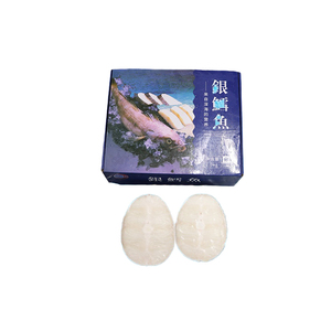 Filete de Pez Dientes (Dissostichus Eleginoides) Congelado de Alta Calidad, Precio Competitivo, Pez Dientes Patagónico - Product Image 5