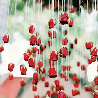 Décorations de plafond pour fête de mariage, rideaux de fleurs flottantes en roses rouges, guirlandes de fleurs, décorations d'arche