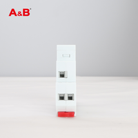 AB18-01 Mini Relais Minuterie Numérique Portable 12V Multifonctionnel Automobile Réglable Électronique AC/DC24V-240V