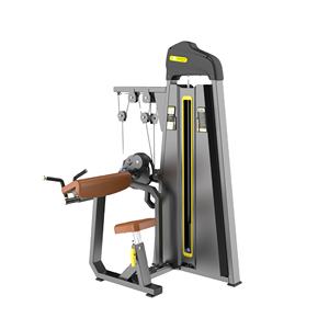 Equipo de gimnasio, máquinas de gimnasio de entrenamiento de fuerza, equipos de <span class=keywords><strong>Fitness</strong></span>, bíceps/tríceps para ejercicio, entrenamiento, uso comercial - Product Image 1