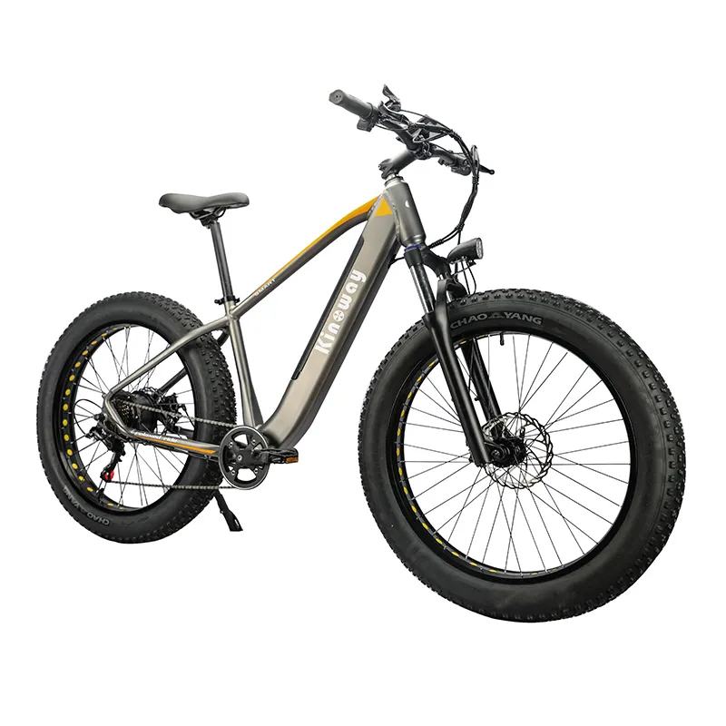 Amazon Hot Selling 750w 1000w Motor MTB e Bike Fat Tire 26 Inch Mountain Bike Fatbike Electric Bicycle Bike