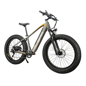 Amazon vendita calda 750w 1000w motore MTB e bici grasso pneumatico 26 pollici Mountain Bike Fatbike bicicletta elettrica bici