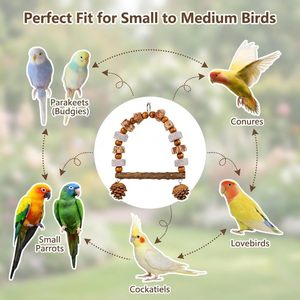 Ensemble de jouets naturels pour oiseaux : Arche en <span class=keywords><strong>bois</strong></span>, balançoire, balle Sola, <span class=keywords><strong>jouet</strong></span> déchirable, perchoir suspendu pour la recherche de nourriture avec cônes de pin, pierre ponce, coupe-bec - Product Image 5