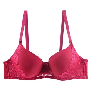 <span class=keywords><strong>Reggiseno</strong></span> ricamato in pizzo <span class=keywords><strong>senza</strong></span> cuciture con <span class=keywords><strong>ferretto</strong></span> 3/4 donna <span class=keywords><strong>nuovo</strong></span> stile - Product Image 1
