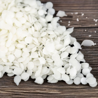 Bio 1 Kilogramm Soja Wachs Perlen 58 Grad hart 101 PUSISON duftende DIY Blasen form Säule Kerze Nummer Form