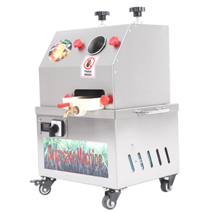 Máquina Extractora de Jugo de Caña de Azúcar de Acero Inoxidable Personalizable al por Mayor con Motor de 450W 220/380V/110V Fácil de Operar - Product Image 2