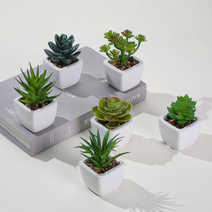 Plantas Suculentas Artificiales de PVC de Alta Calidad, Realistas, Duraderas y Ecológicas, en Maceta Cuadrada Pequeña, para Decoración Interior y Exterior del Hogar - Product Image 1
