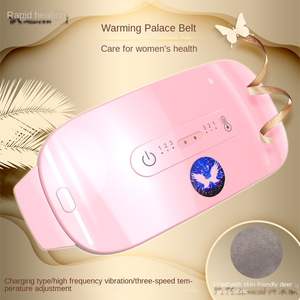 Vente chaude chauffage période de réchauffement menstruel soulagement <span class=keywords><strong>lombaire</strong></span> coussin chauffant <span class=keywords><strong>ceinture</strong></span> Massage bas du dos taille <span class=keywords><strong>ceinture</strong></span> <span class=keywords><strong>chauffante</strong></span> - Product Image 4