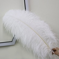60-65 cm Bunte Große Straußenflügel-Federn für Party Hochzeit Weiße Federn Bühnenkostüme Bühnendekoration