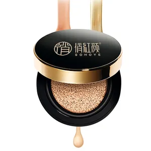 Private Label SPF 50 Cosmetics Waterproof Air Cushion Concealer CC Cream Foundation