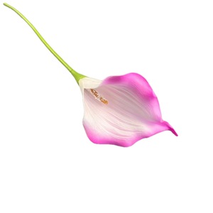 ดอกคาลล่าลิลลี่ประดิษฐ์ ก้านเดี่ยว สูง 80 ซม. ตกแต่งงานแต่งงานและบ้าน - Product Image 2